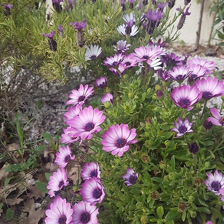 Villa Manoe 드라기냥 외부 사진